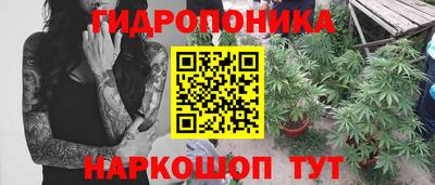 индика Ликино-Дулёво